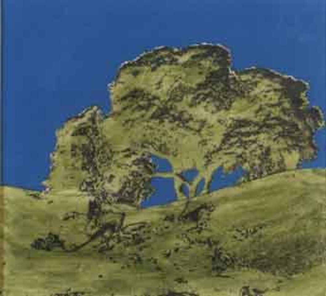 Landscape with big tree by Tano Festa