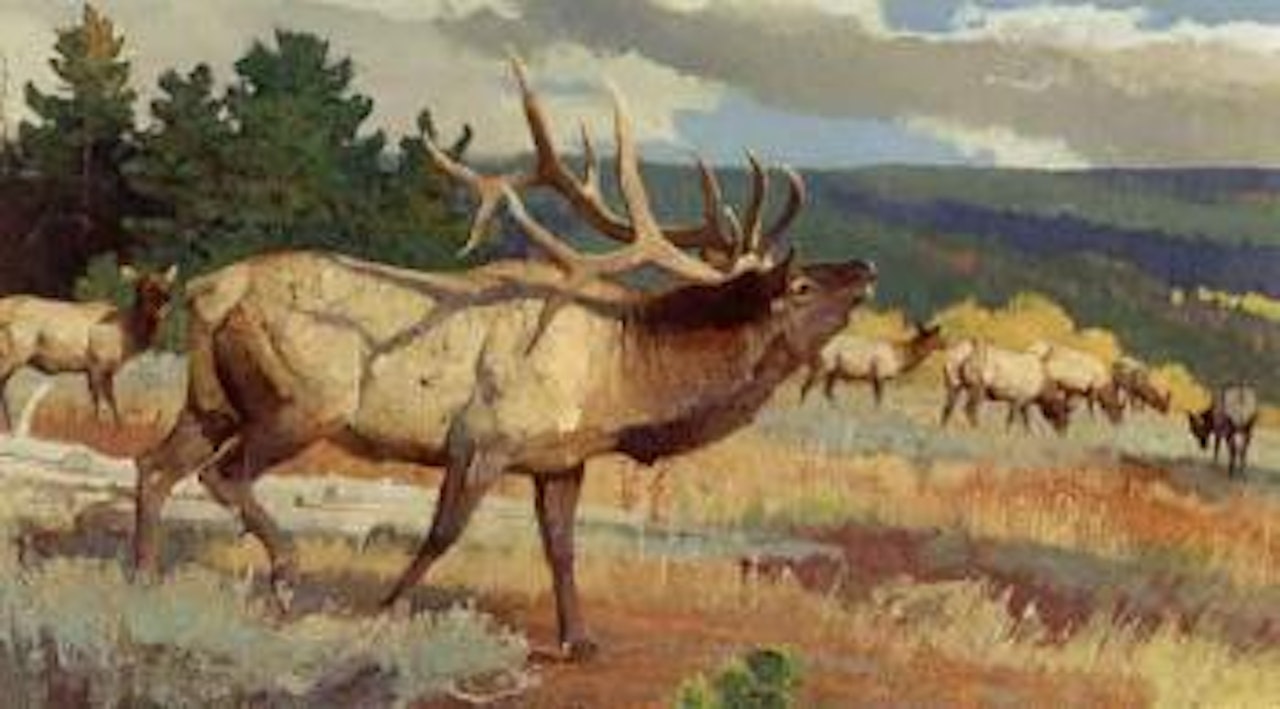 Patriarch of the Elk herd by Bob Kuhn