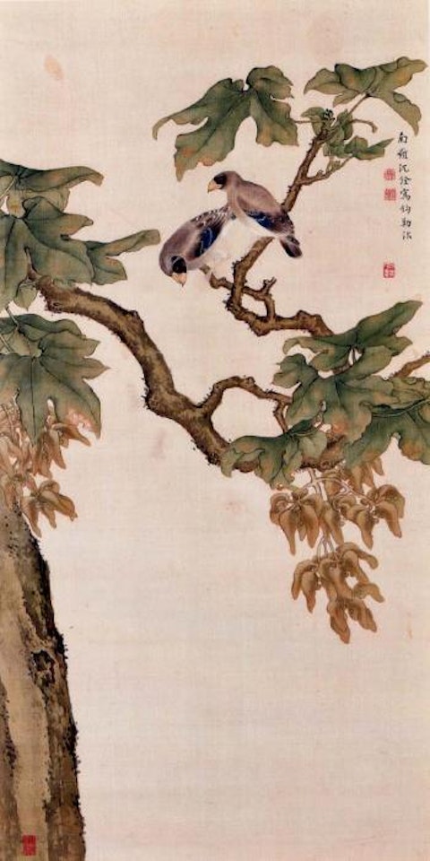 Birds on a wutong tree by Shen Quan