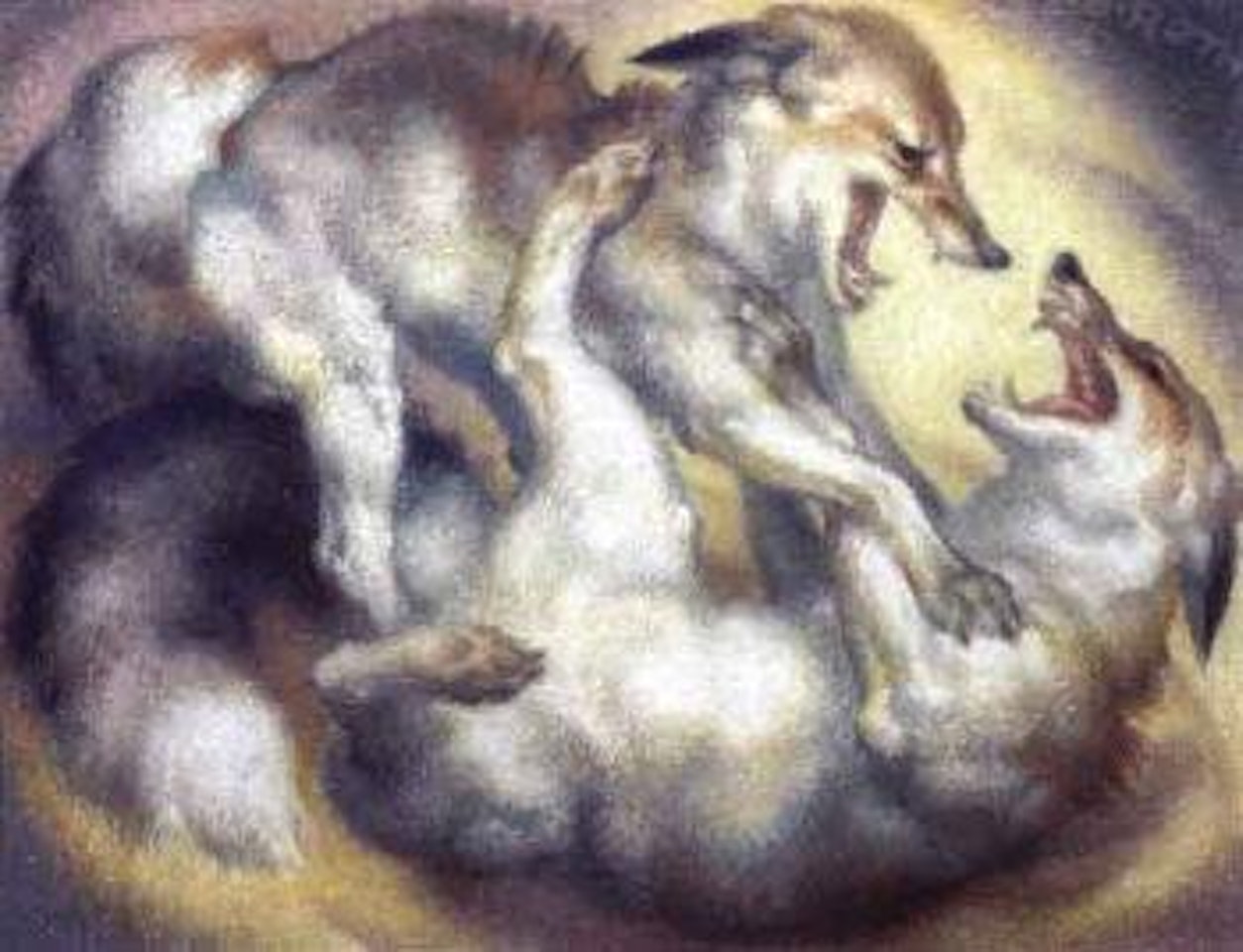 Tussle by Norbertine Bresslern-Roth