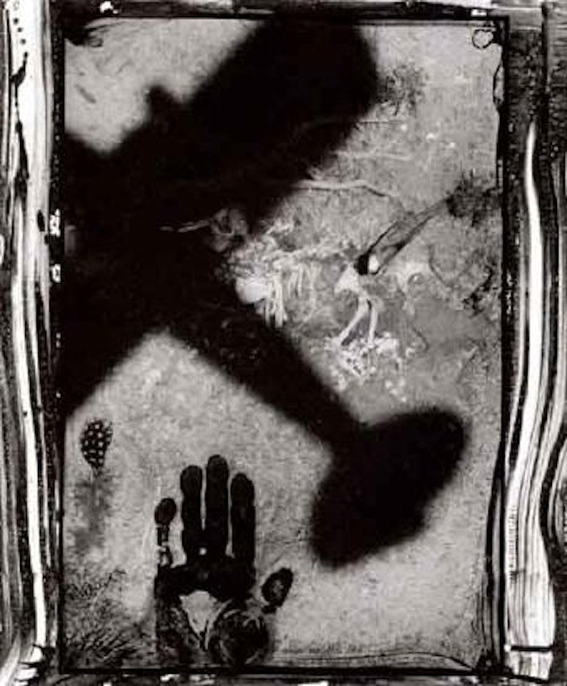 Starvo, for the end of the game by Peter Beard