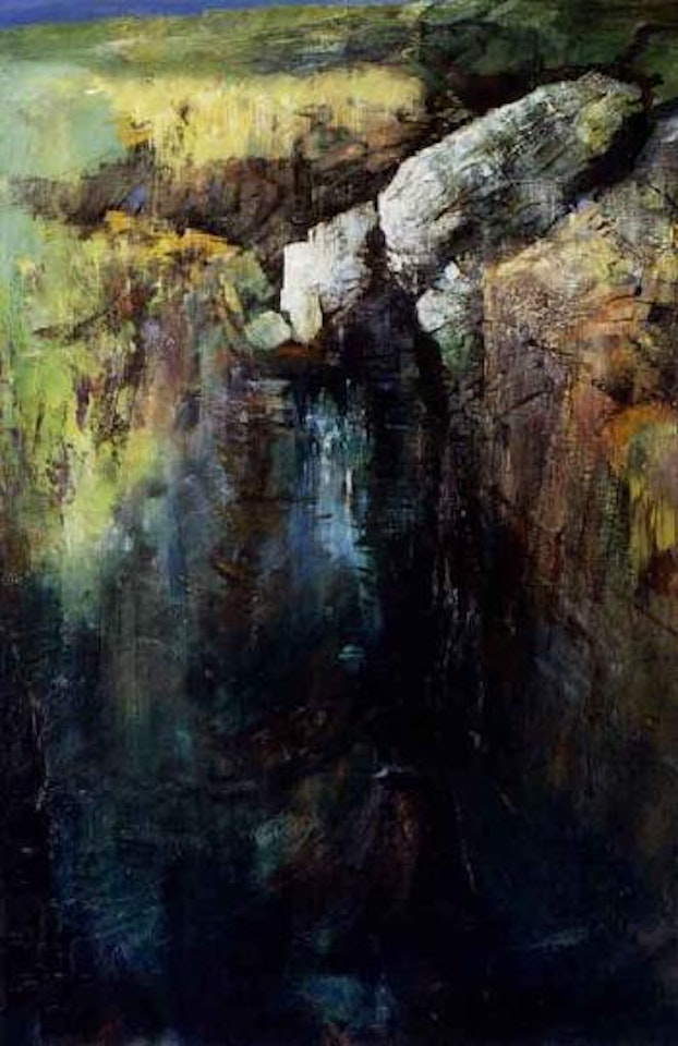 Reflections by a bog pool by Kenneth Webb
