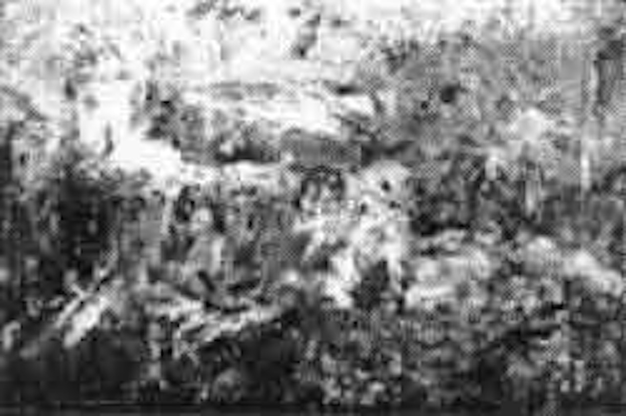 Blackbird bathing in Tir na nOg by Jack Butler Yeats