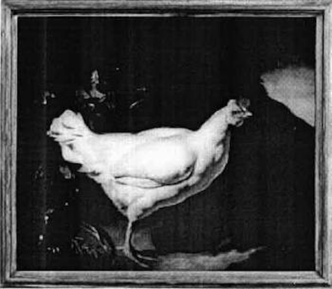Portrait of a white hen in a landscape by Continental School