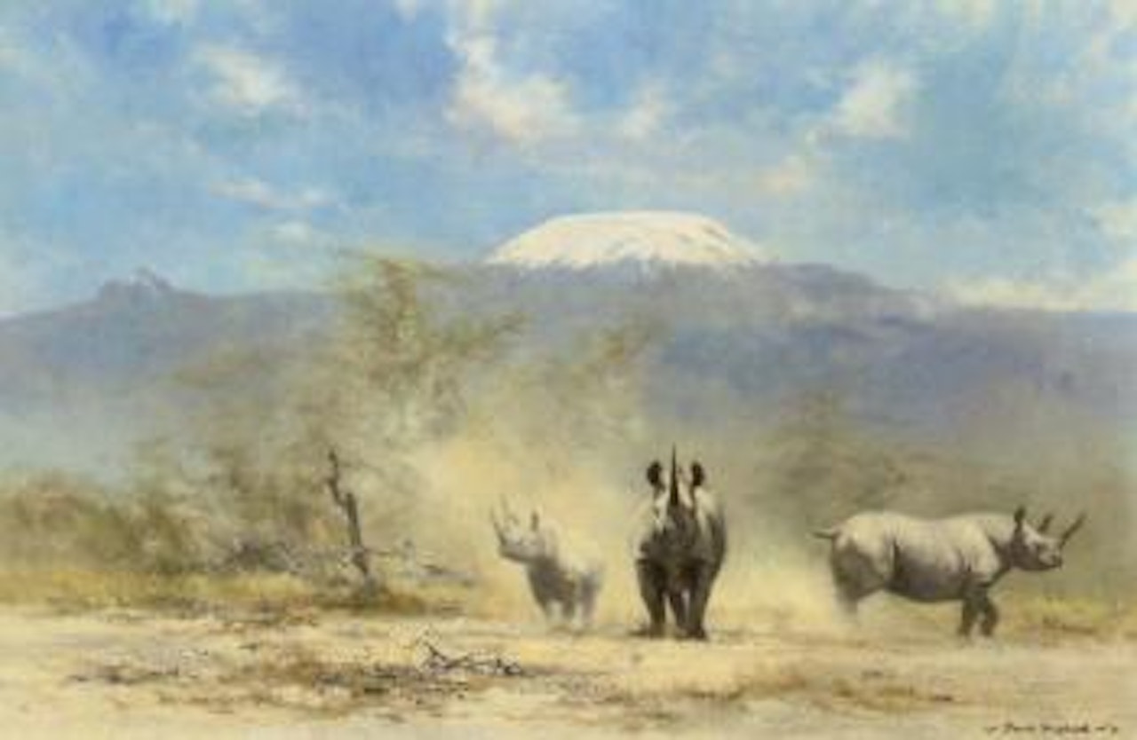 Rhino in the shadow of Mount Kilimanjaro by David Shepherd