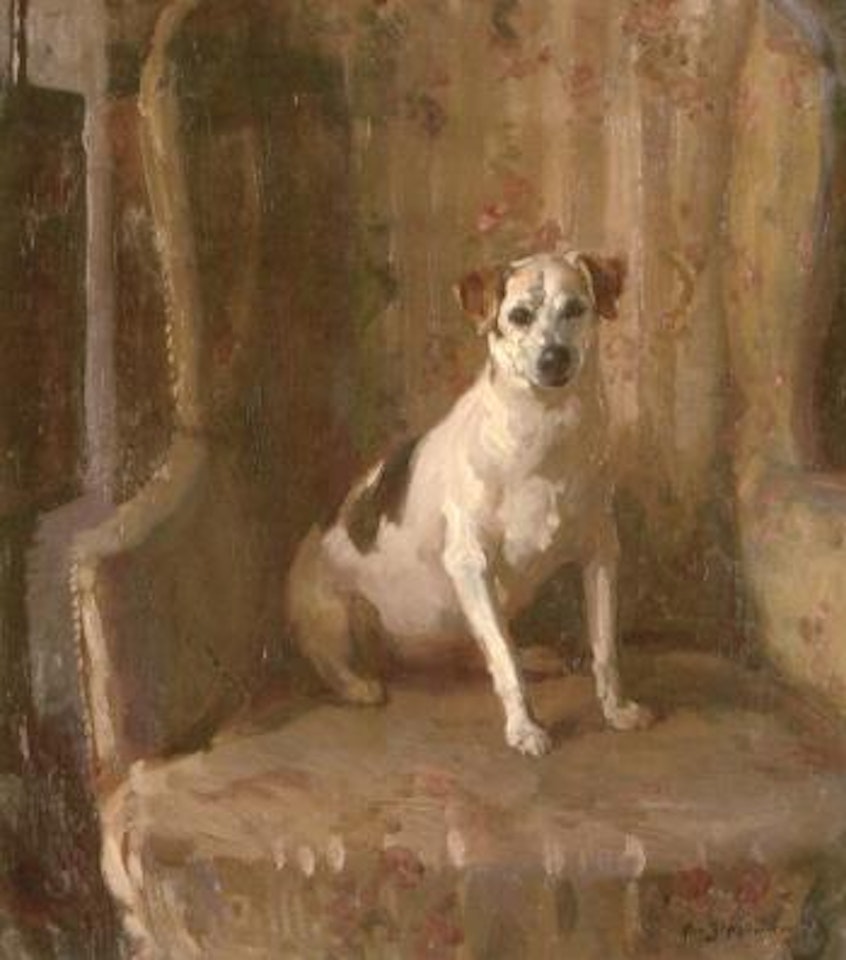 Hugo, a terrier in an armchair by Alfred James Munnings
