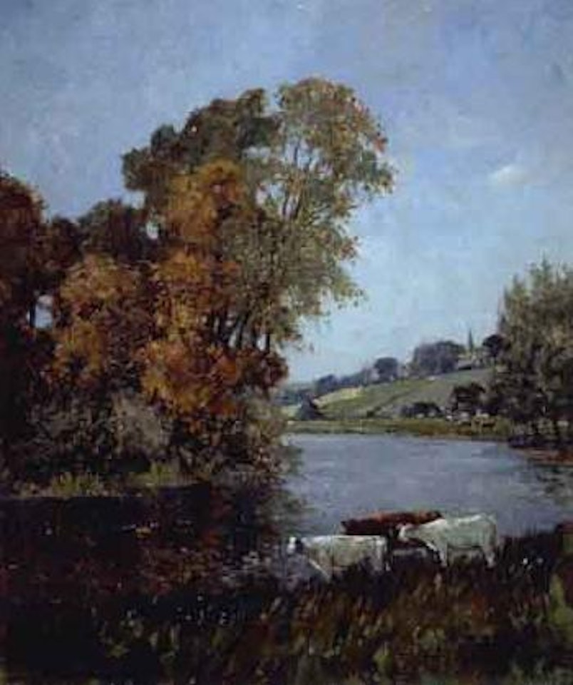 Cattle on a river bank by Campbell Mellon