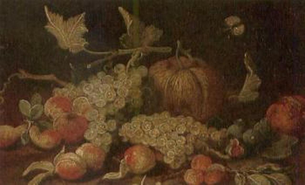 Fruit on a ledge with a butterfly. Dead game in a barn with a cat by Jan Van Kessel The Elder