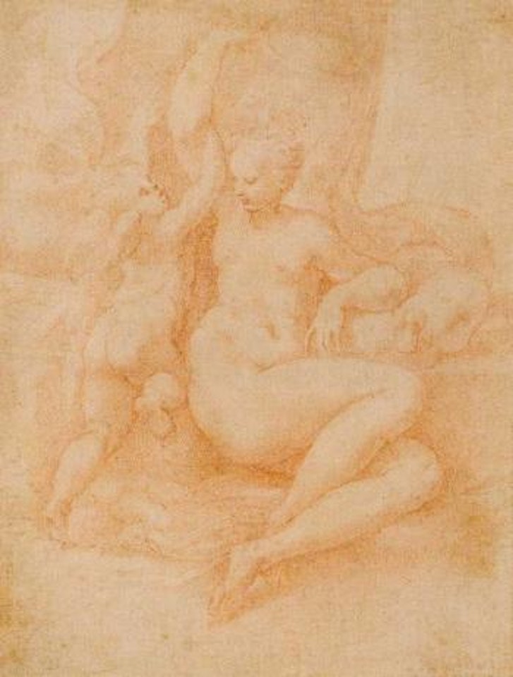 Venus desarmant l'Amour by Girolamo Mazzola Bedoli