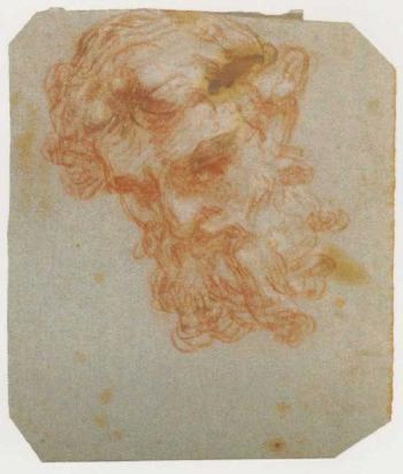 Tete d'un homme barbu regardant vers le bas by Giovanni Domenico Tiepolo