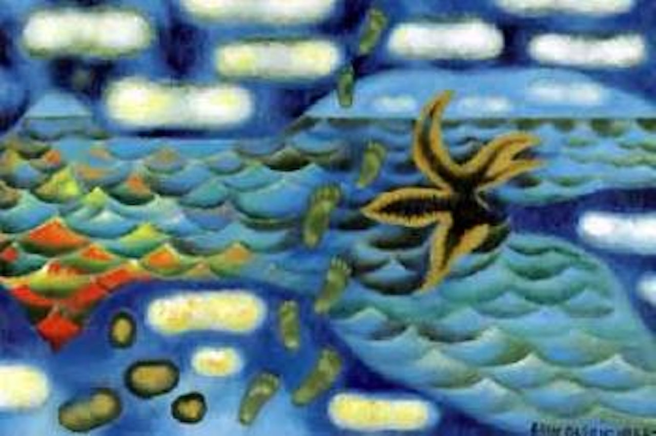 Drifting clouds, streaming water by Erik Olson