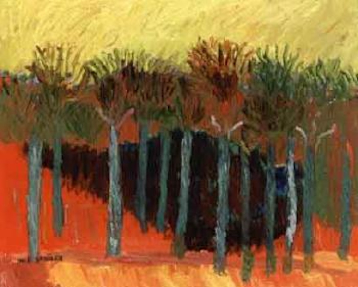 Burning forest by Inge Schiöler