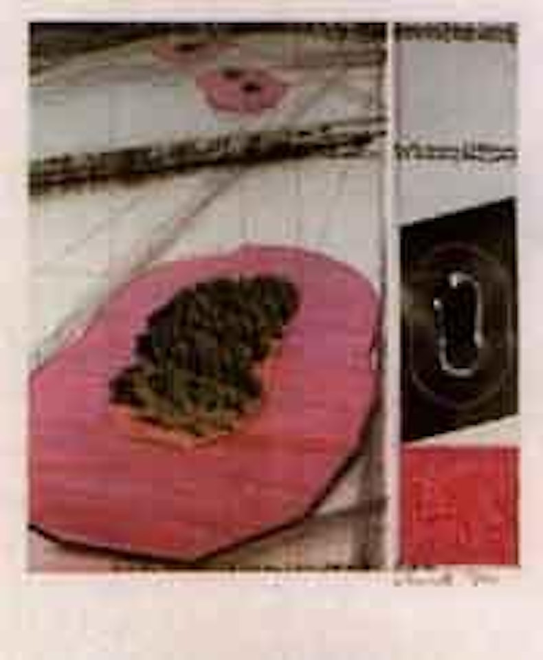 Surrounded islands by Christo