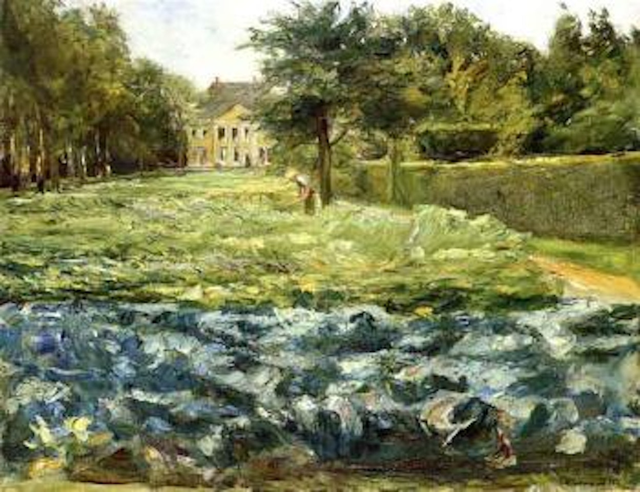 Cabbage field in the Wannsee Garden, facing west by Max Liebermann