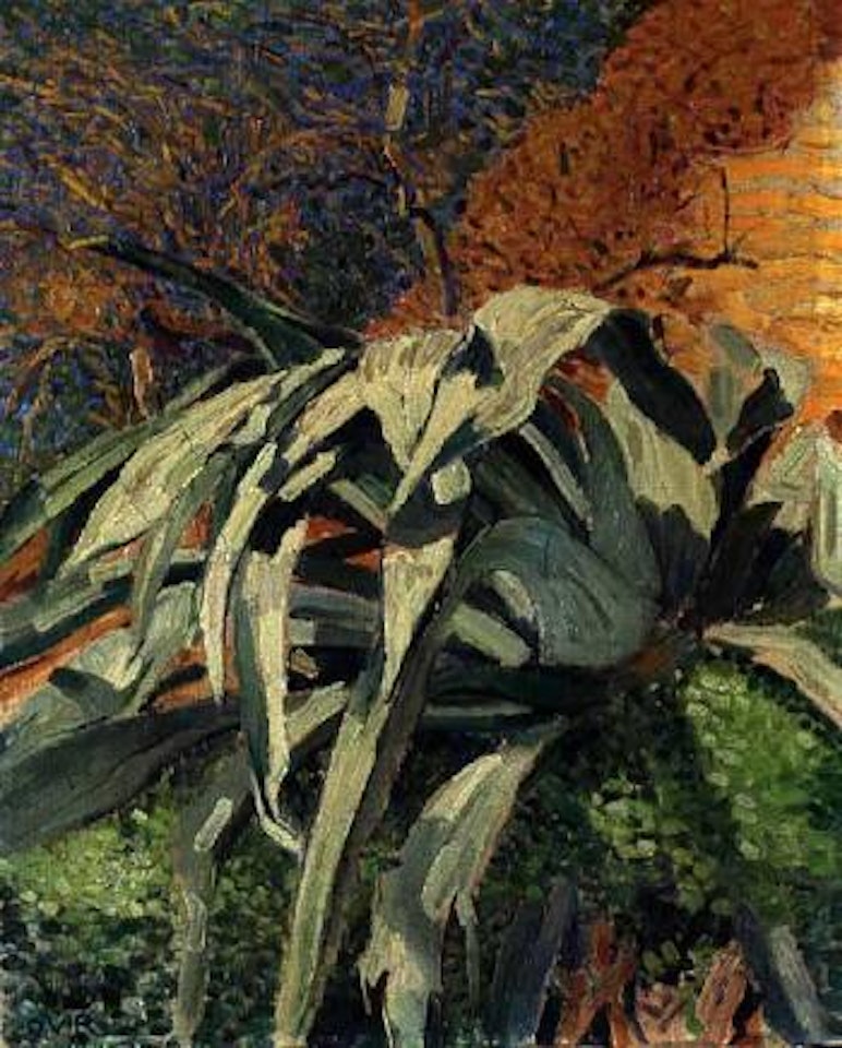 Agave by Otto van Rees
