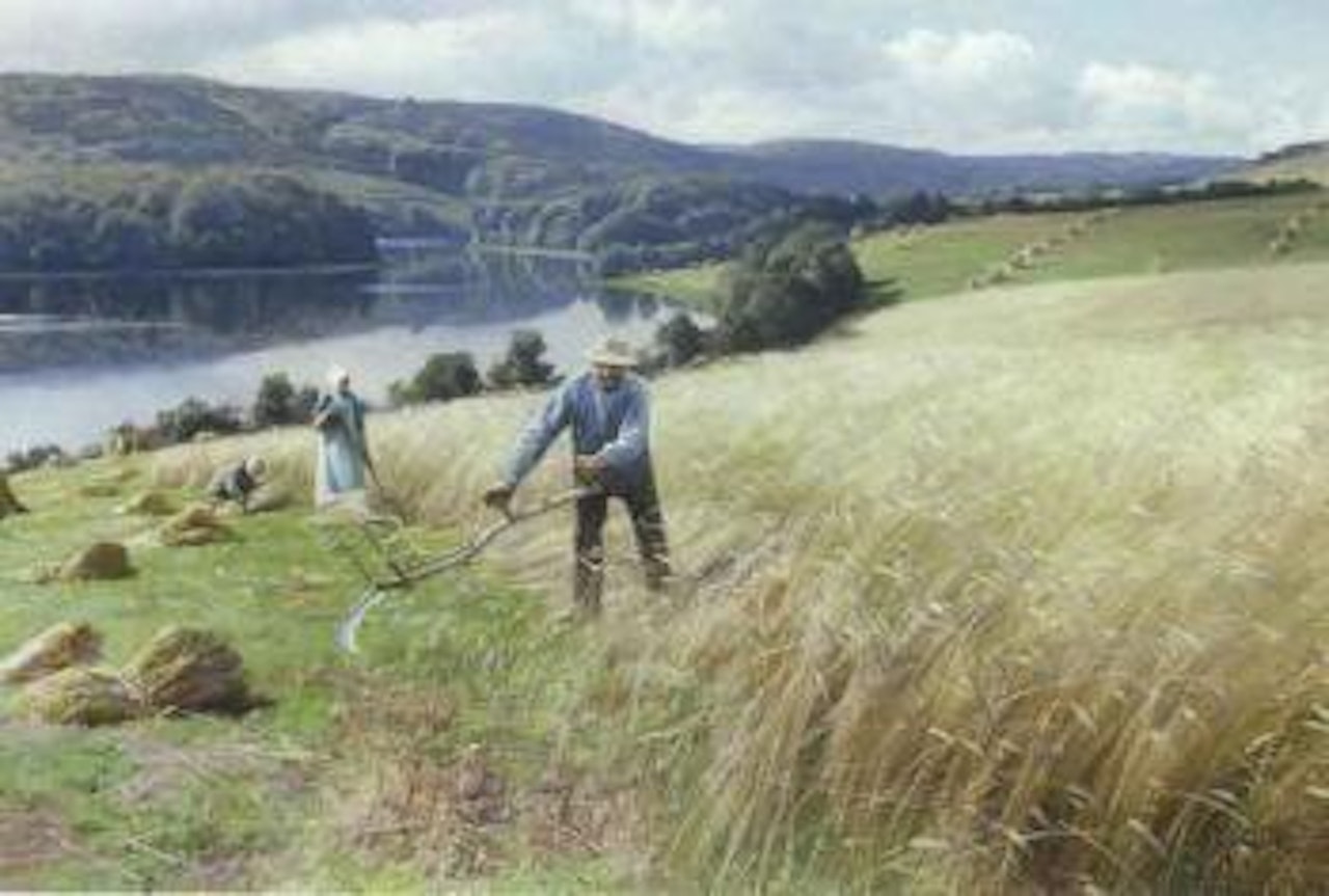 Harvesting the rye in Virklund by Peder Mork Monsted