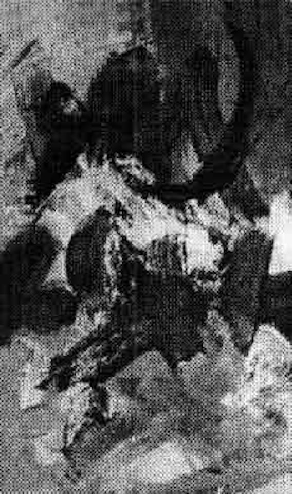 Untitled by Oswaldo Vigas