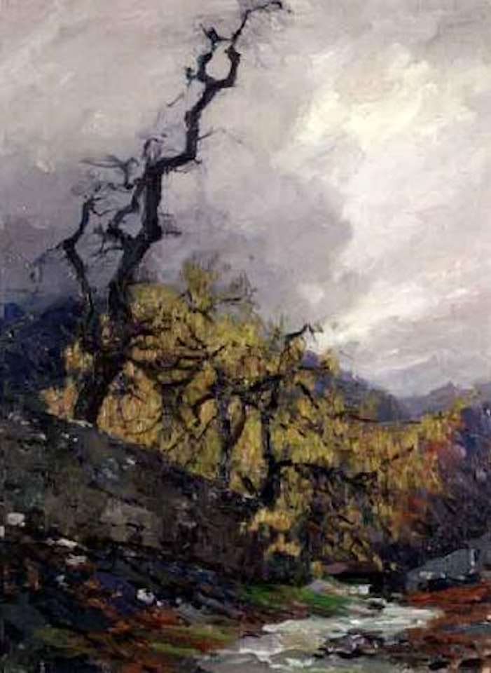 Stream in autumn by Alexander Koester