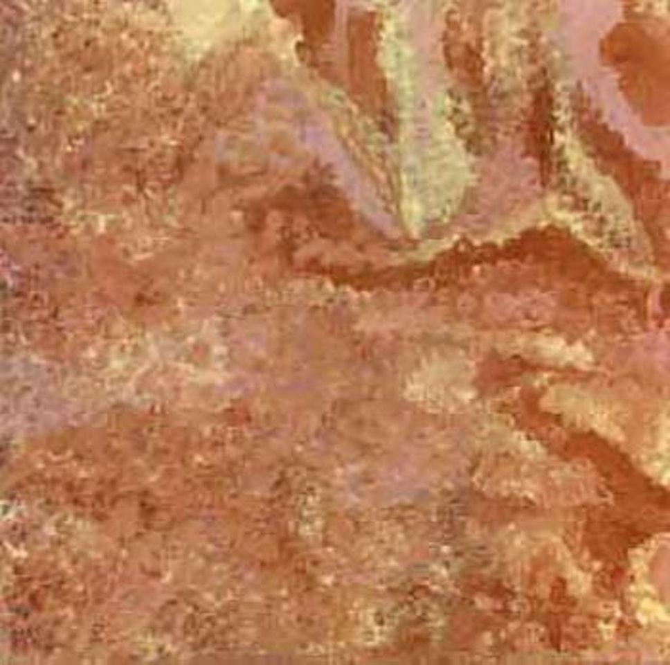 My country by Emily Kame Kngwarreye
