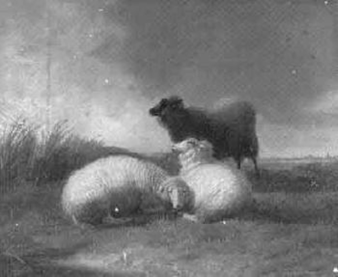 Three sheep by Thomas Sidney Cooper
