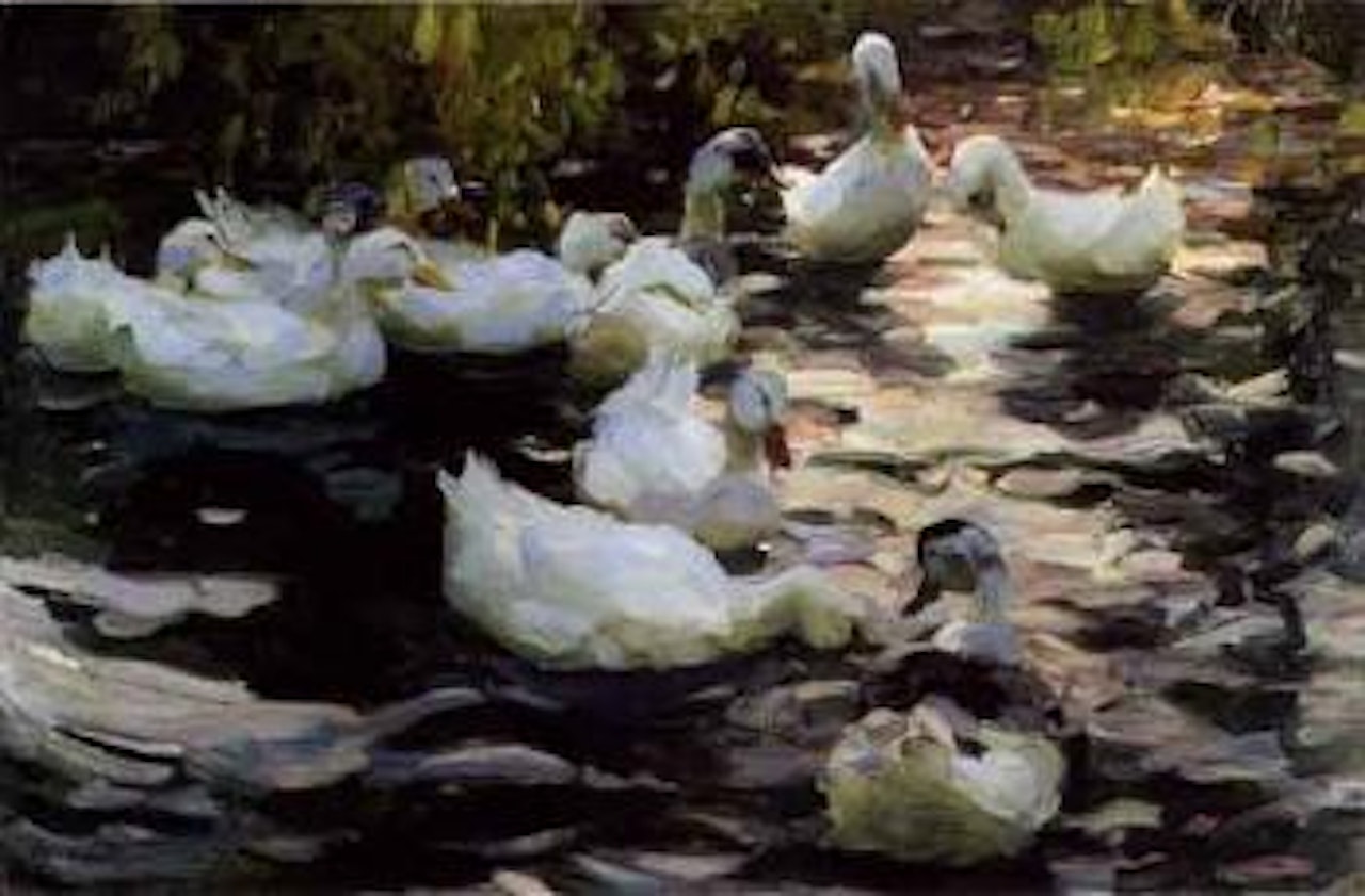 Eleven ducks on a lake by Alexander Koester