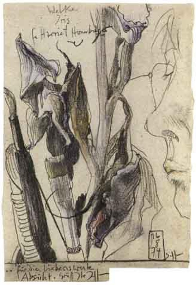 Iris by Horst Janssen