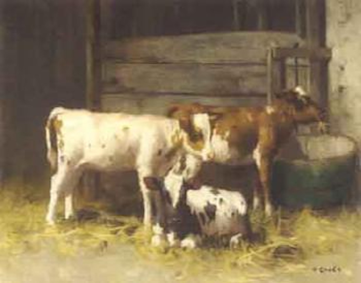 Three calves in a stable interior by David Gauld