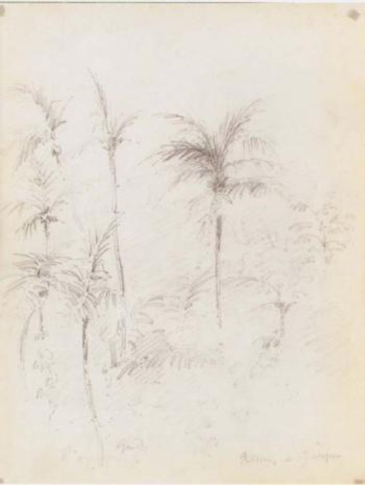 Man wearing a hat, seated woman. Landscape with palm trees by Camille Pissarro