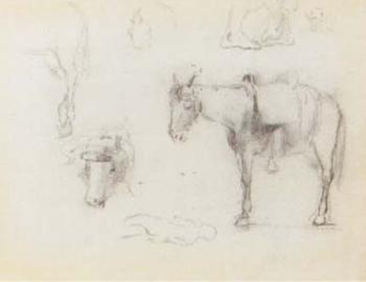 Saddled horse. Studies of an ox and woman carrying a vase on her head by Camille Pissarro