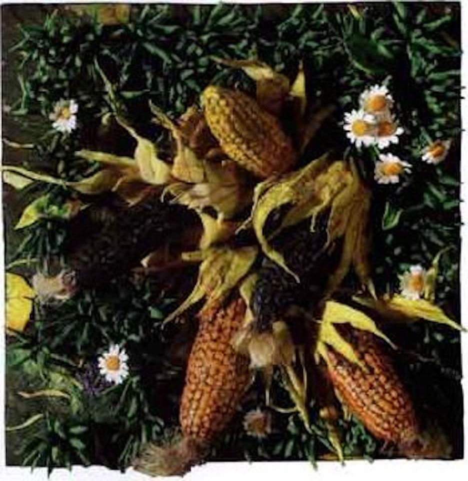Corn by Piero Gilardi