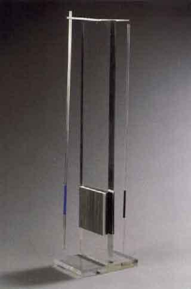 Tigre sur transparence by Jesus Rafael Soto