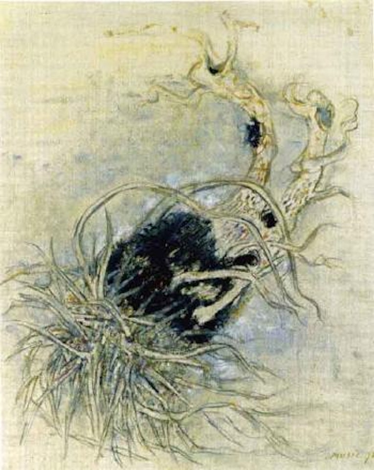 Motif vegetal by Zoran Antonio Music