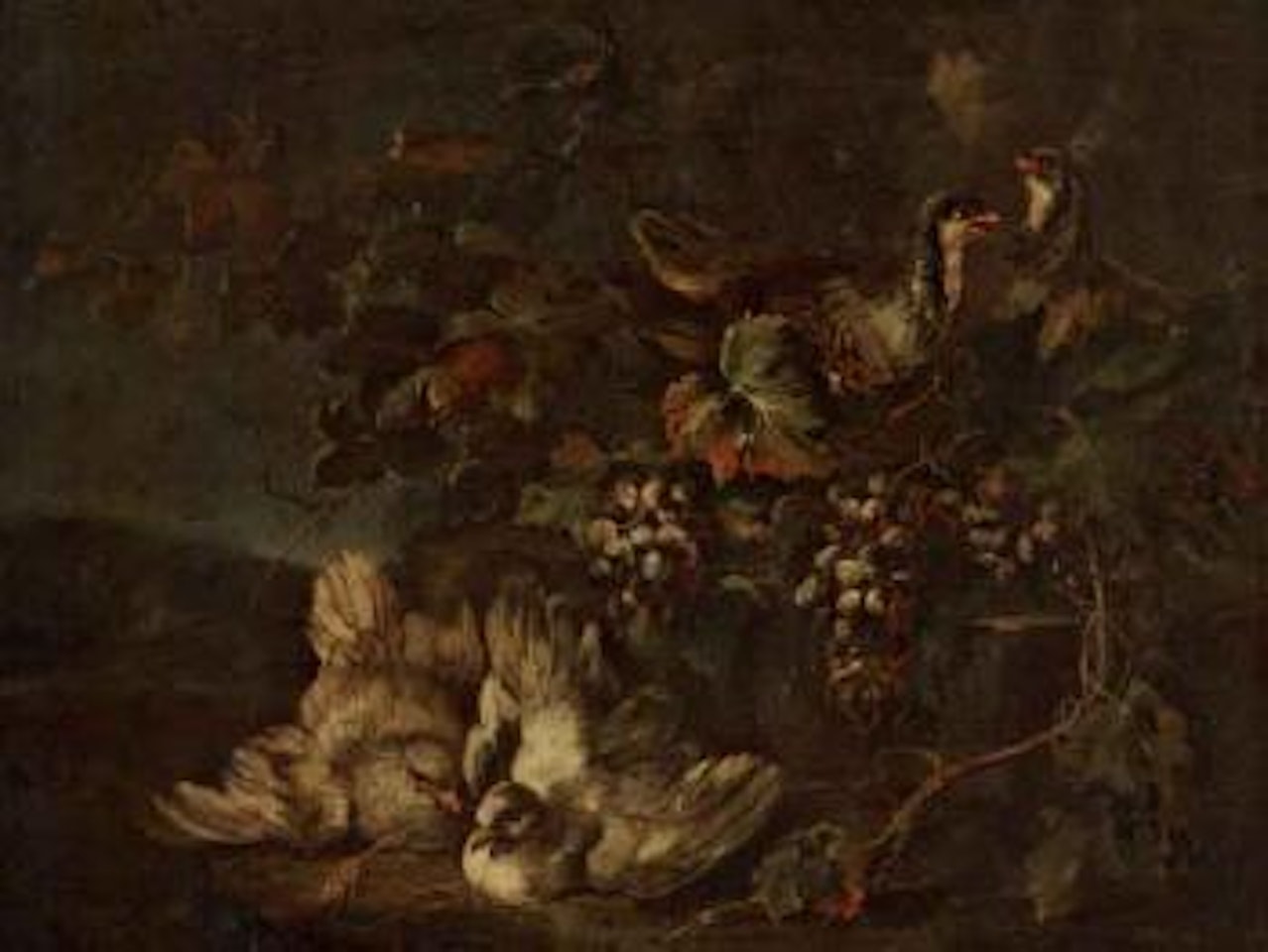 Still life with grapes and doves by Italian School