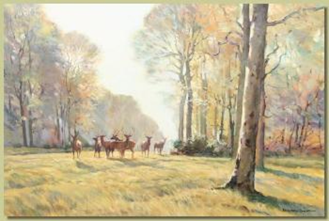 Stags on a woodland path by Donald Grant