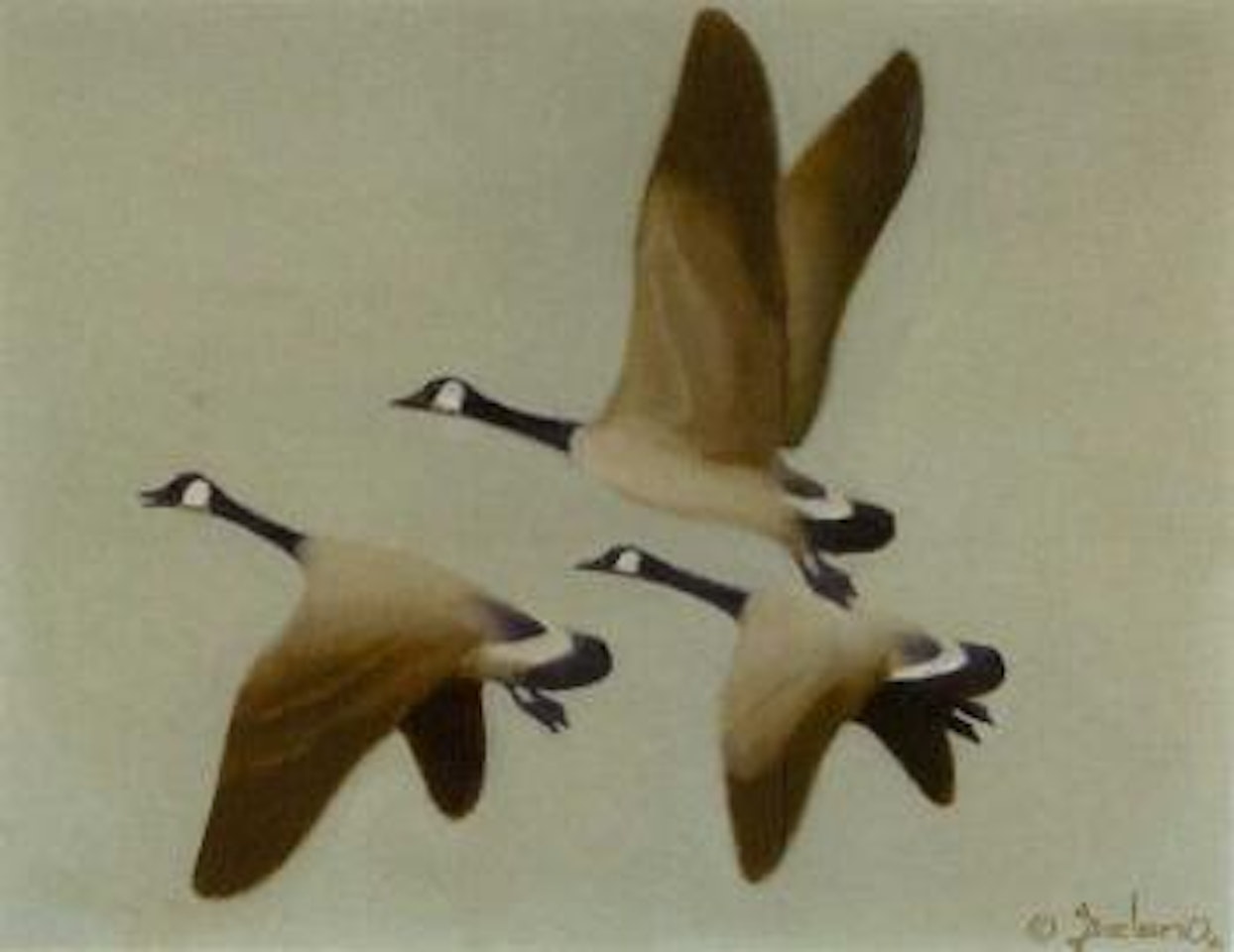 Off in the wild blue yonder by Gerard Curtis Delano