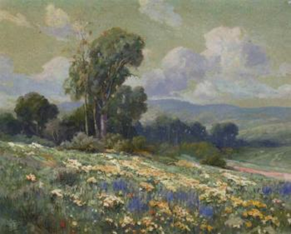 California in spring by Angel Espoy