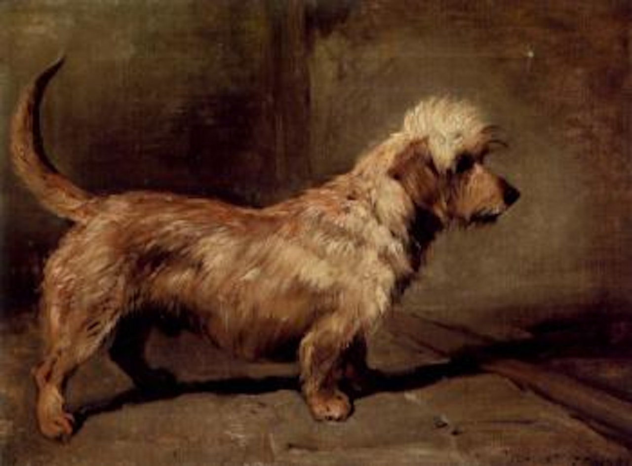 Portrait of Dandie Dinmont, Edenside by John Emms
