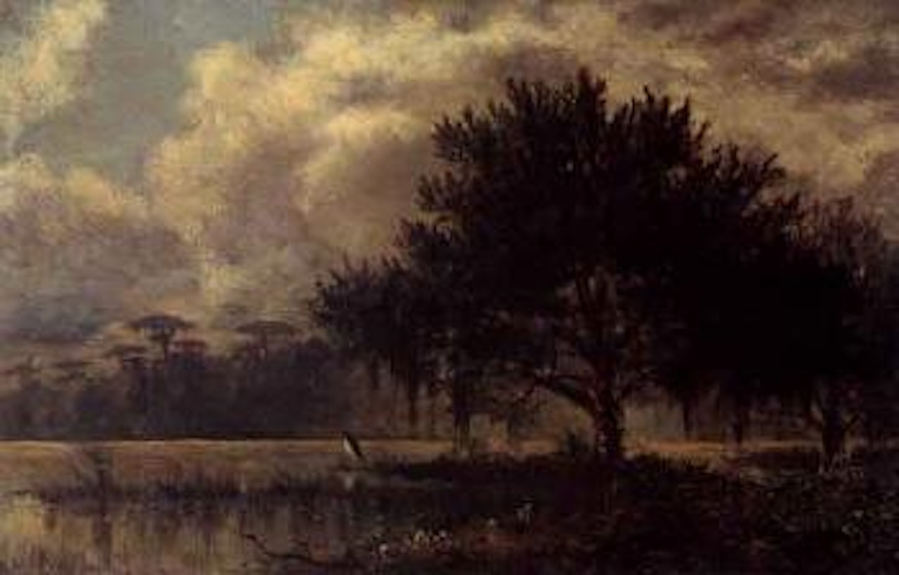 Louisianna bayou by Joseph R. Meeker