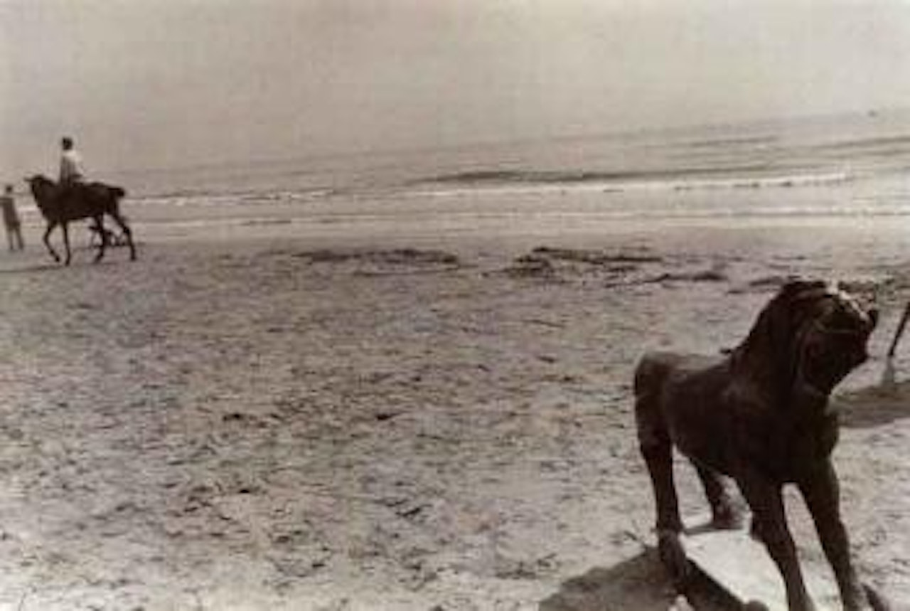 Valencia, spain by Robert Frank