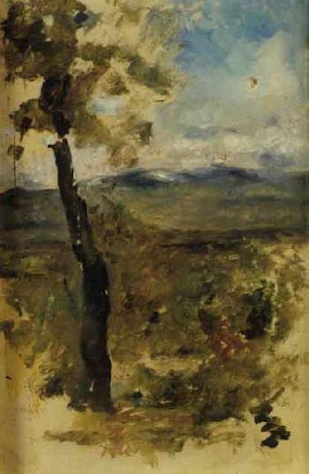 Landscape by Joaquin Sorolla Y Bastida