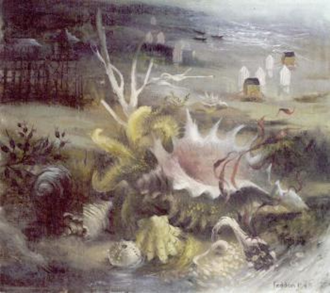 Shells still life on se ashore by Mary Fedden