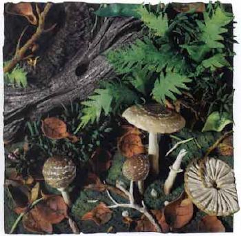 Mushrooms and leaves by Piero Gilardi