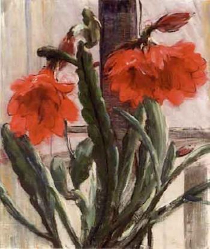 Christmas cactus by Olle Hjortzberg