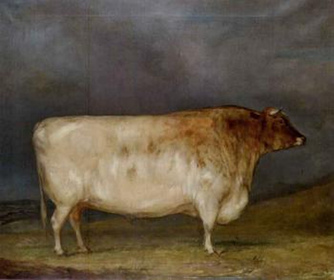 Bull in a landscape by English School