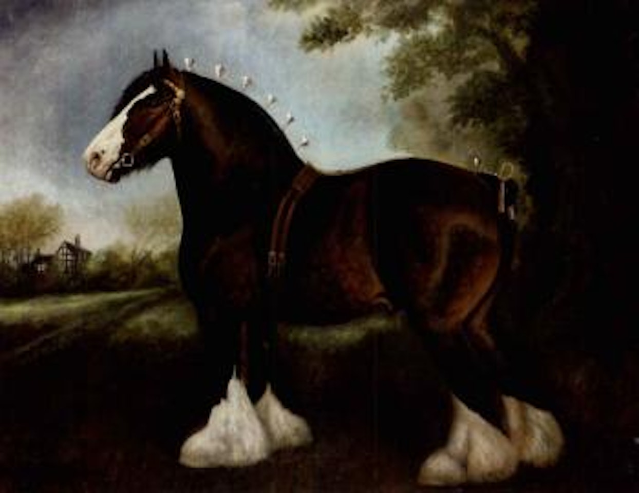 Shire stallion Chorlton Fear None by Herbert H Jones