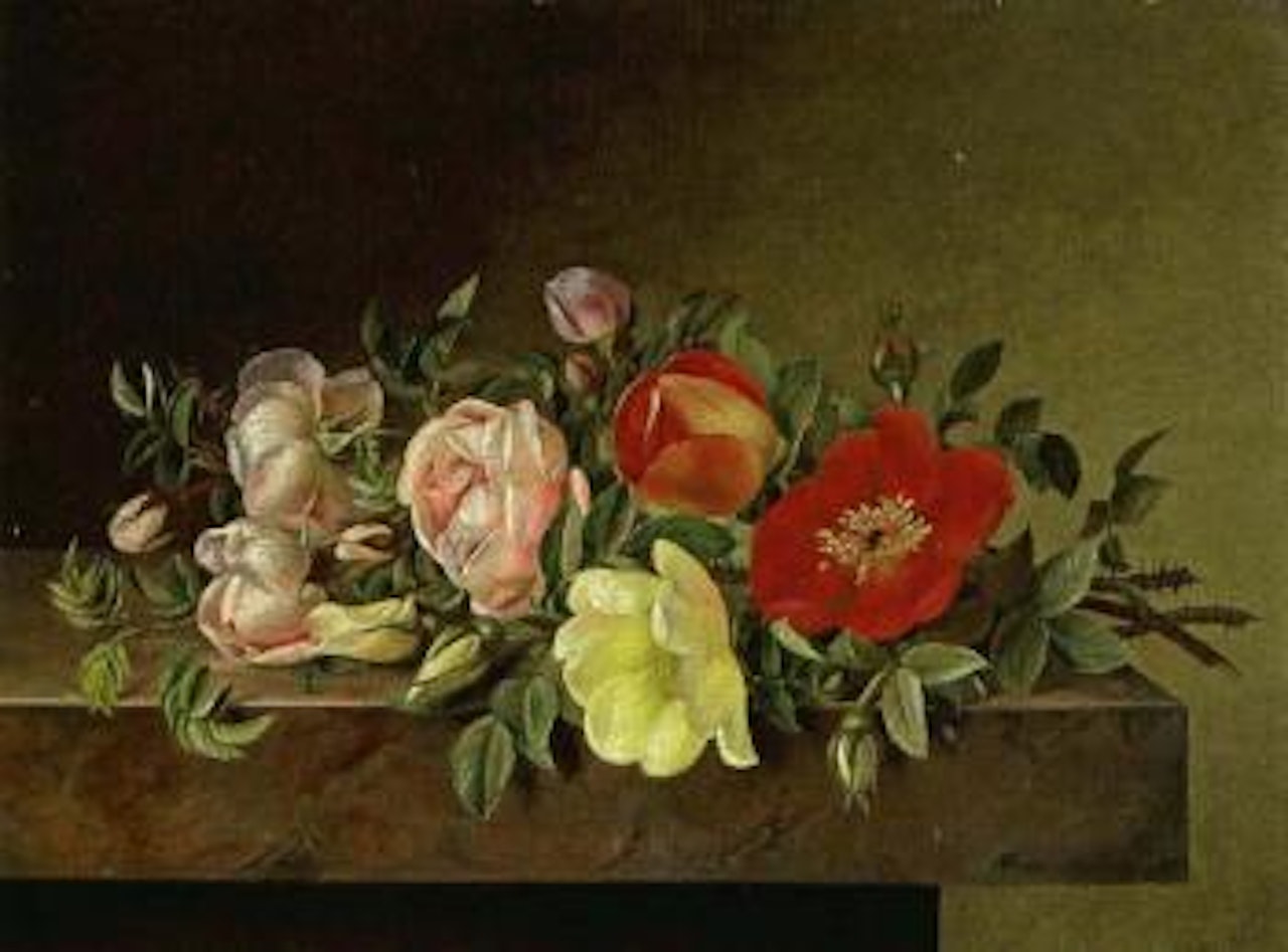 Roses by Hanne Hellesen