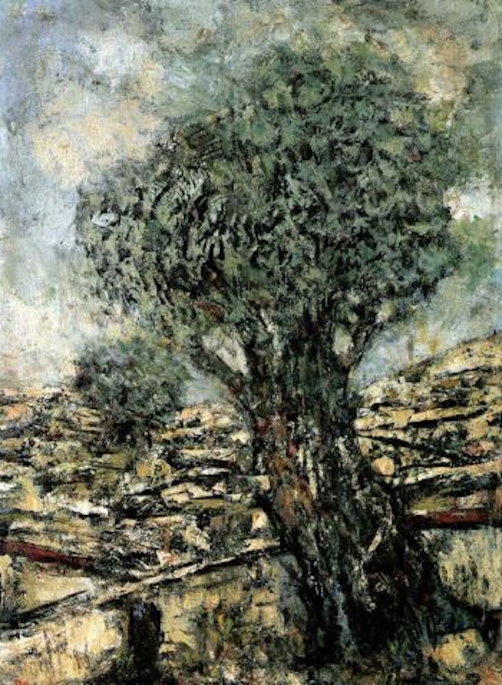 Olive tree by Mordecai Ardon