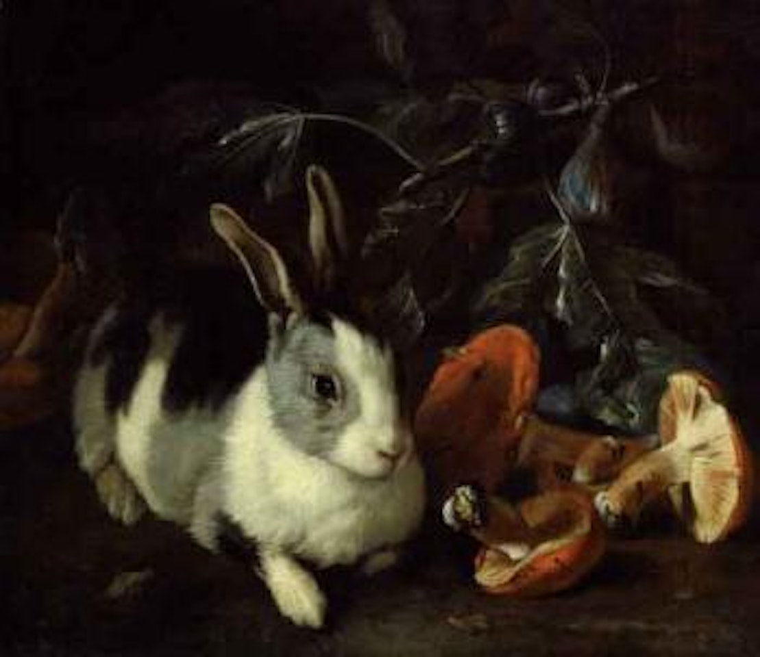 Forest floor with rabbit and mushroom by Franz Werner von Tamm