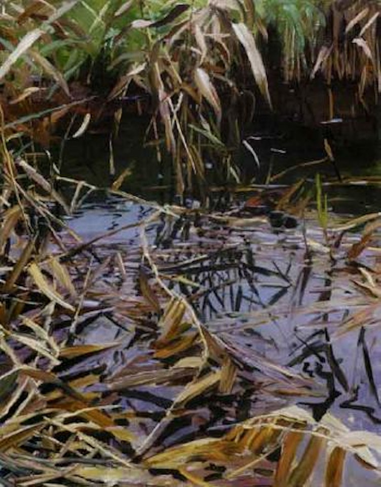 Reeds in autumn, Brixen by Alexander Koester