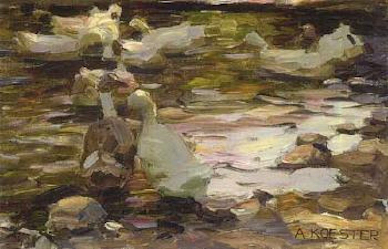 Ducks on water by Alexander Koester
